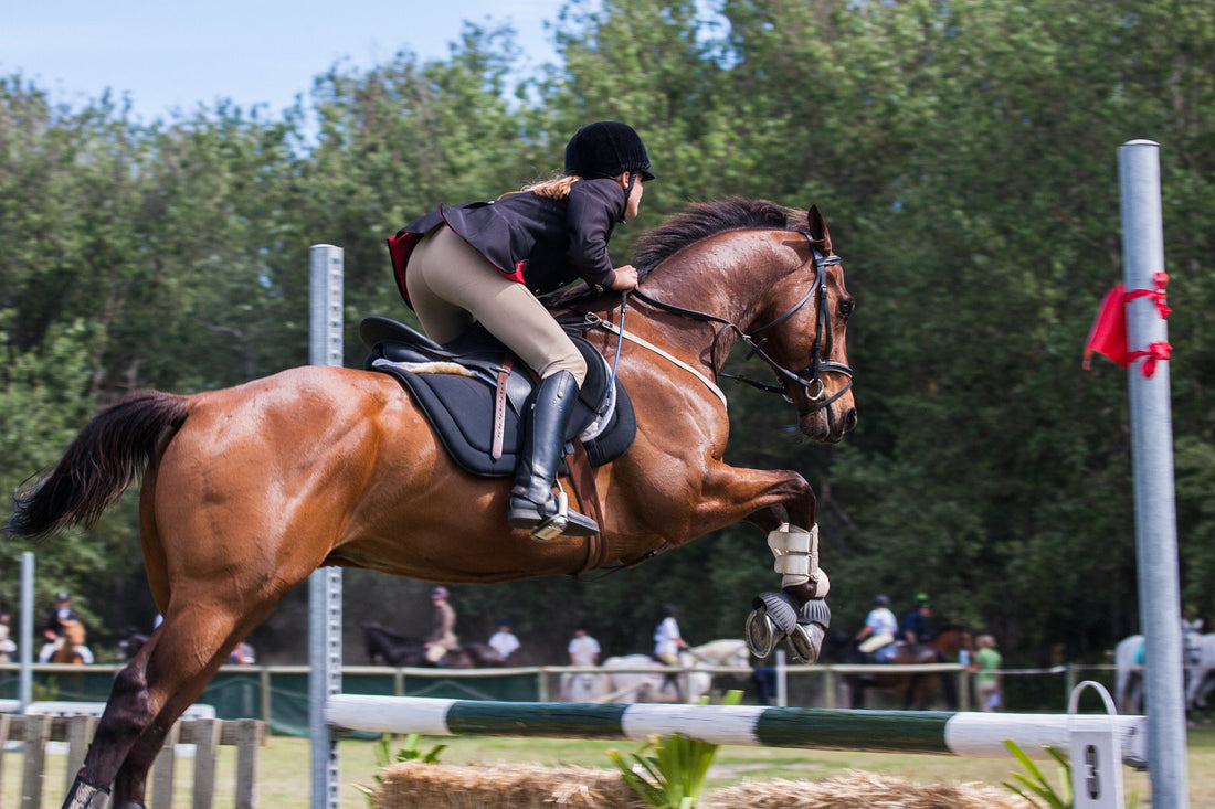 Building a Riding Arena? 5 Things to Know Before You Get Started
