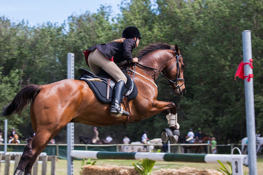 Building a Riding Arena? 5 Things to Know Before You Get Started
