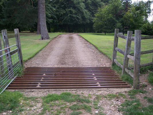 Everything You Need to Know About Cattle Grids