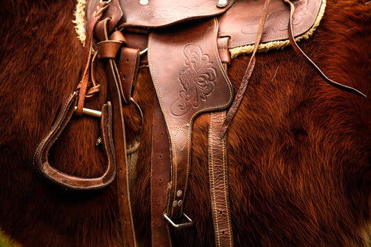 Our Favorite Saddles for Every Kind of Rider