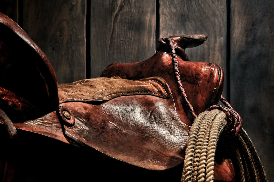 Saddle Care Instructions