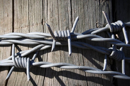 Barbed Wire