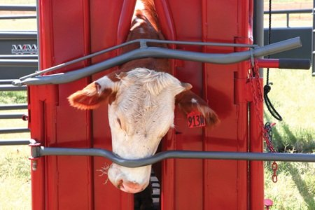 Squeeze Chute Accessories