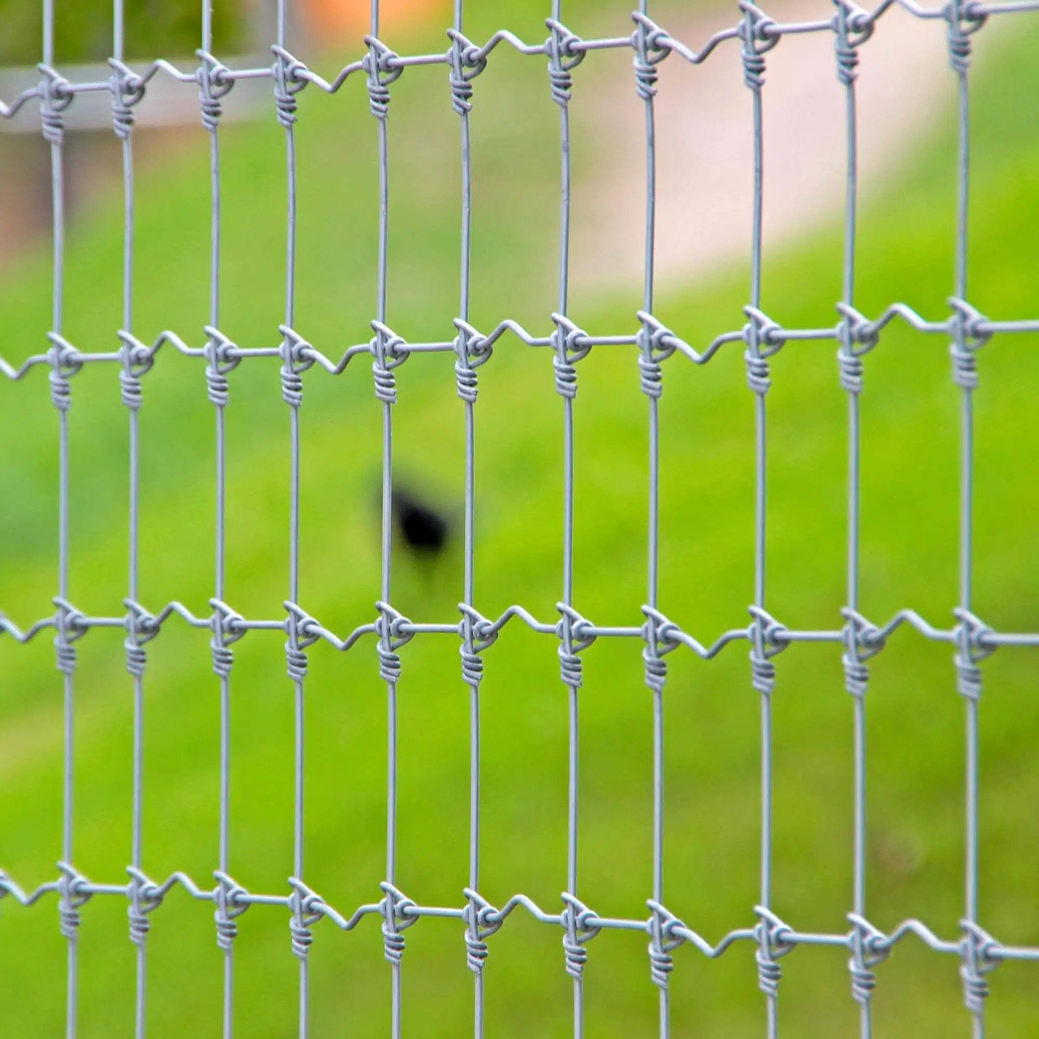 Net Fencing