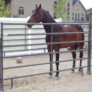 Powder Mountain Round Pen