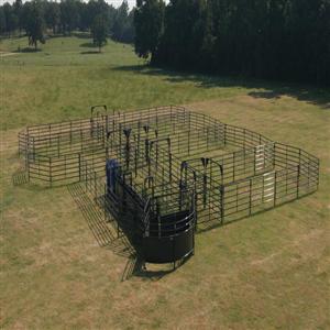 Solid Sweep Corral System 250 Head - SSCS-4