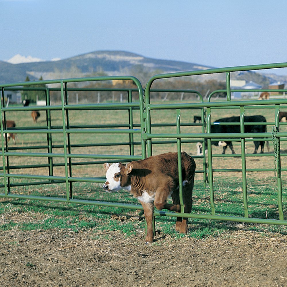 12-Foot Calf Pass Panel