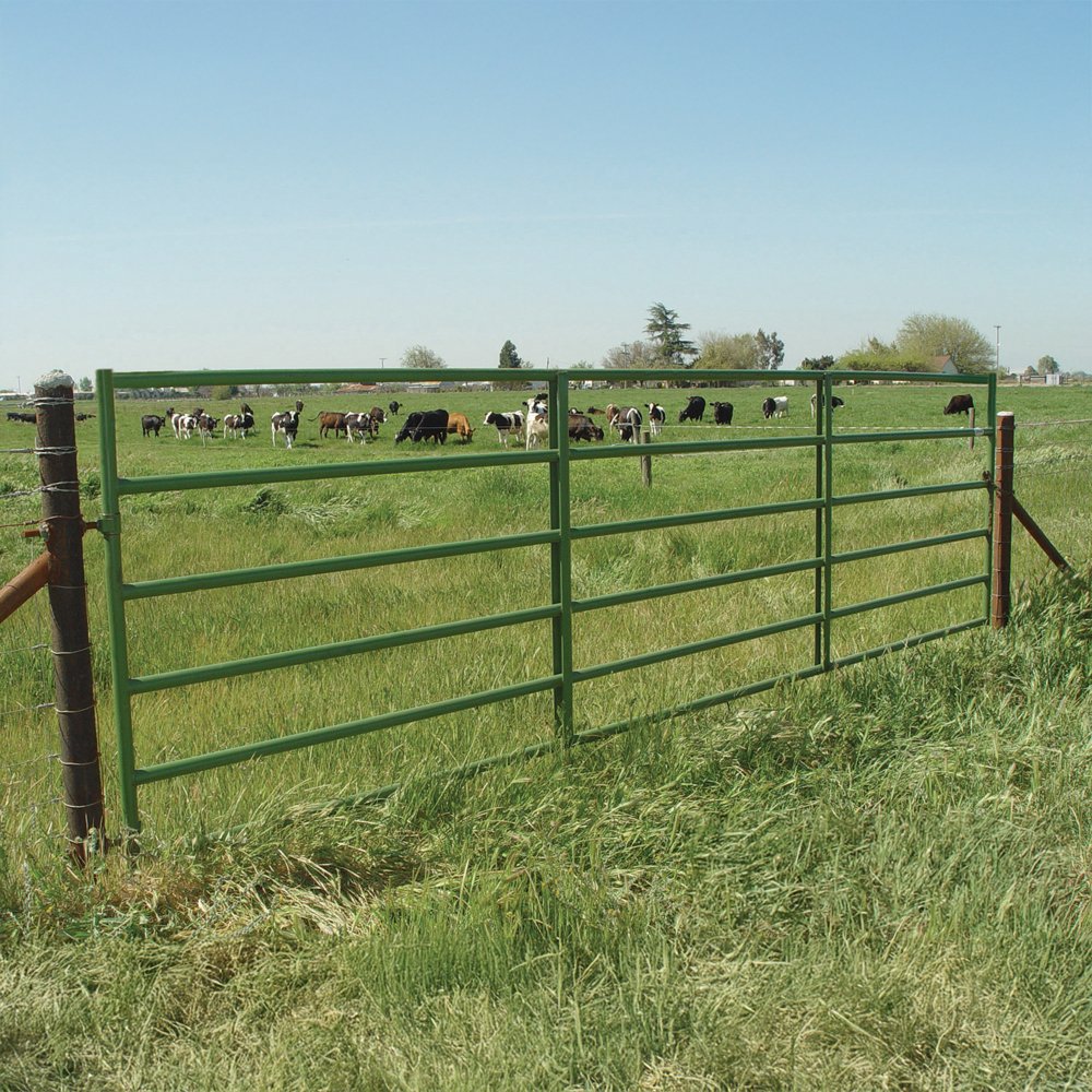 1600 Tube Gates 180 Degree Hinge