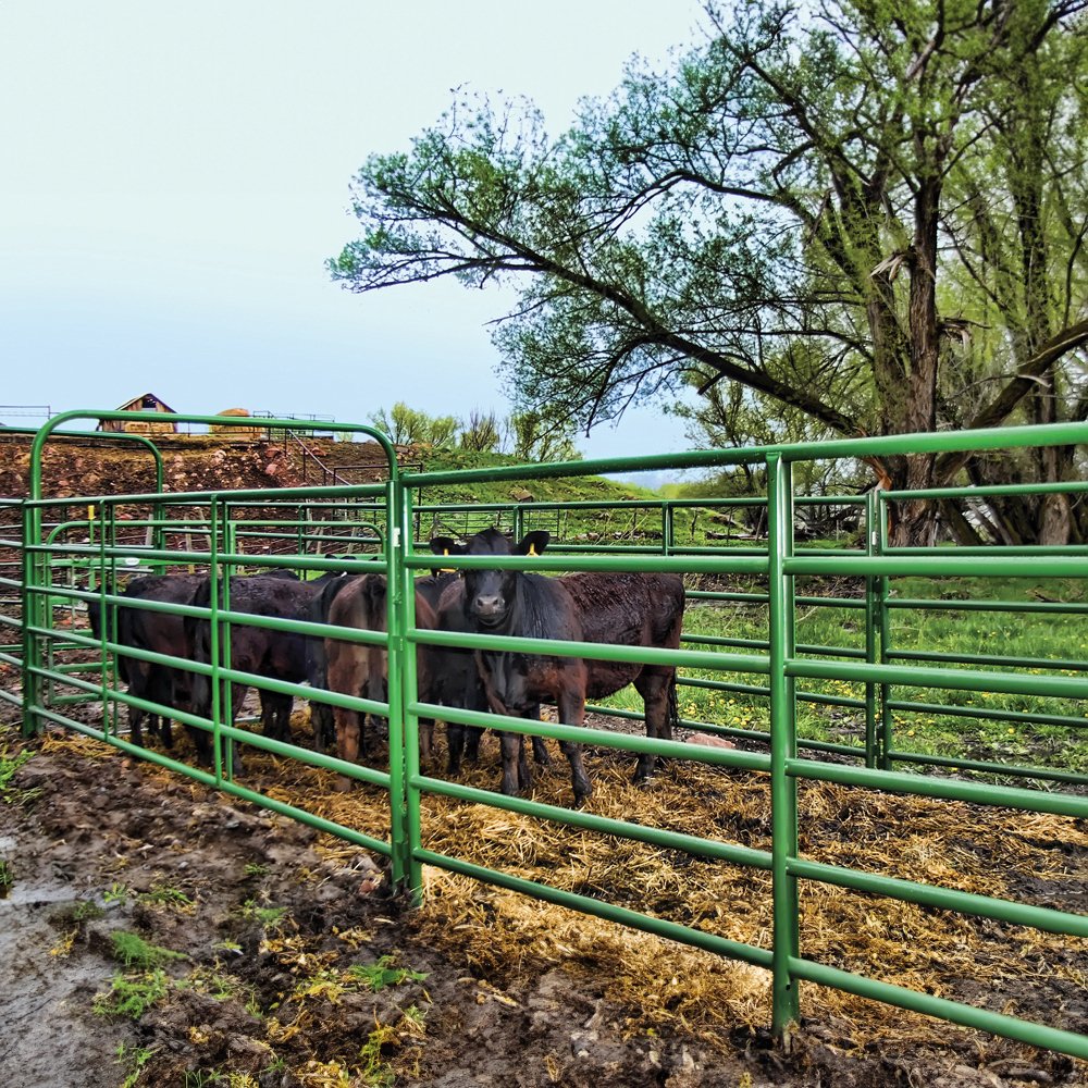70" Tall, Rancher 2" Panels