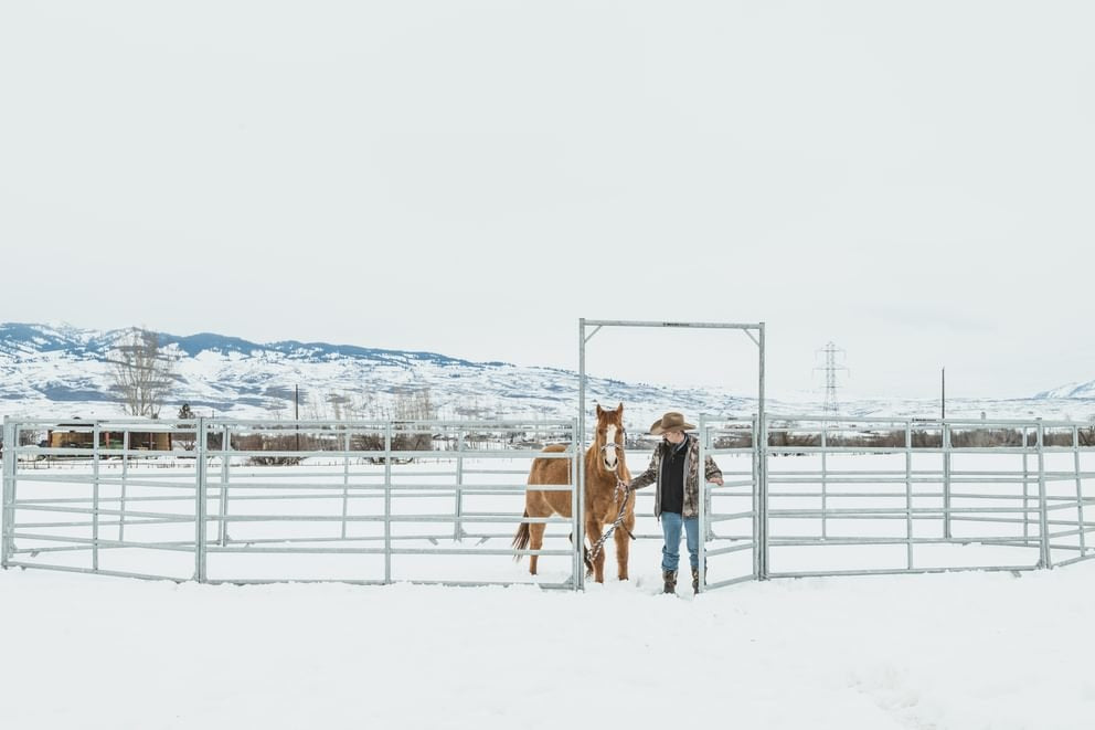 Arena Max XT Round Pens - Behlen Country – farmranchstore.com