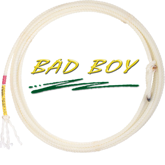 Bad Boy
