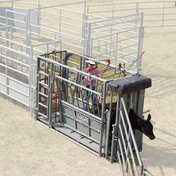 Beefmaster XL-2VG Squeeze Chute