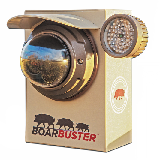 BoarBuster Color HD Replacement Camera System