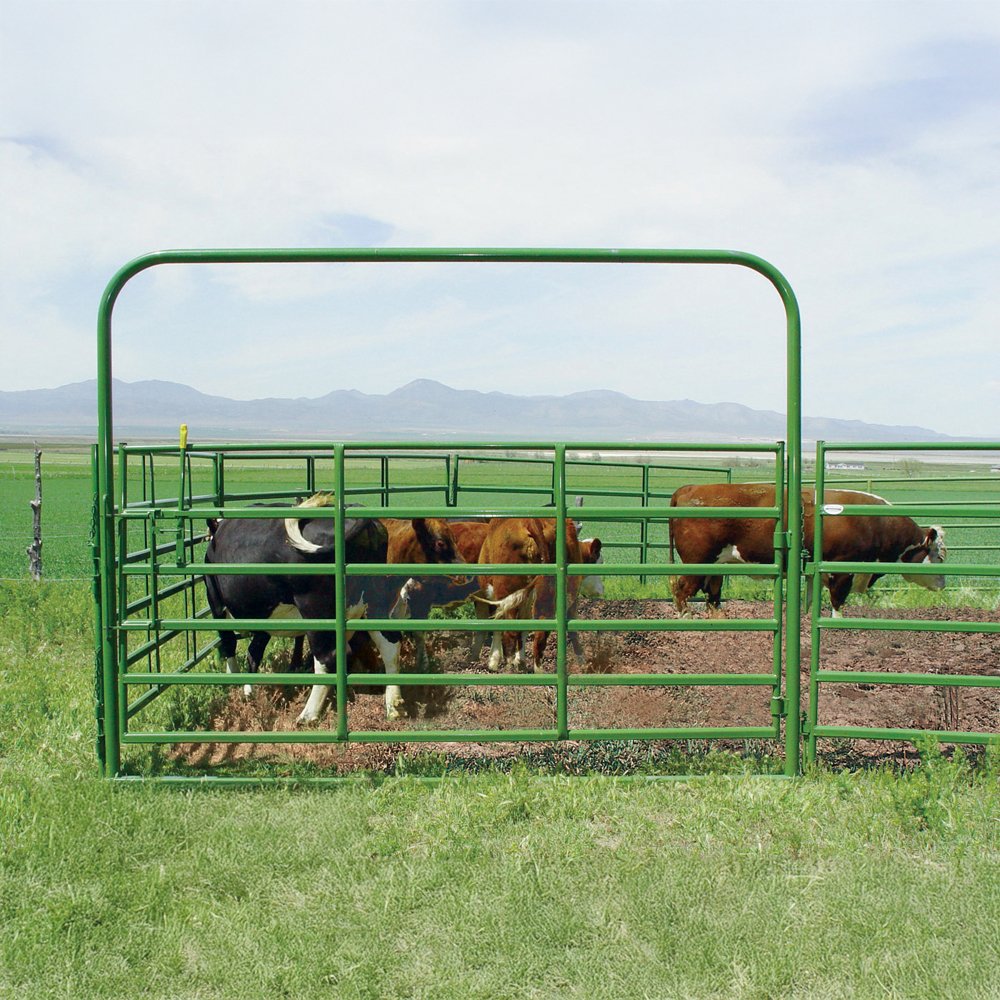 Super Classic Bull Bow Gates Bolt Hinge w/Lever Latch
