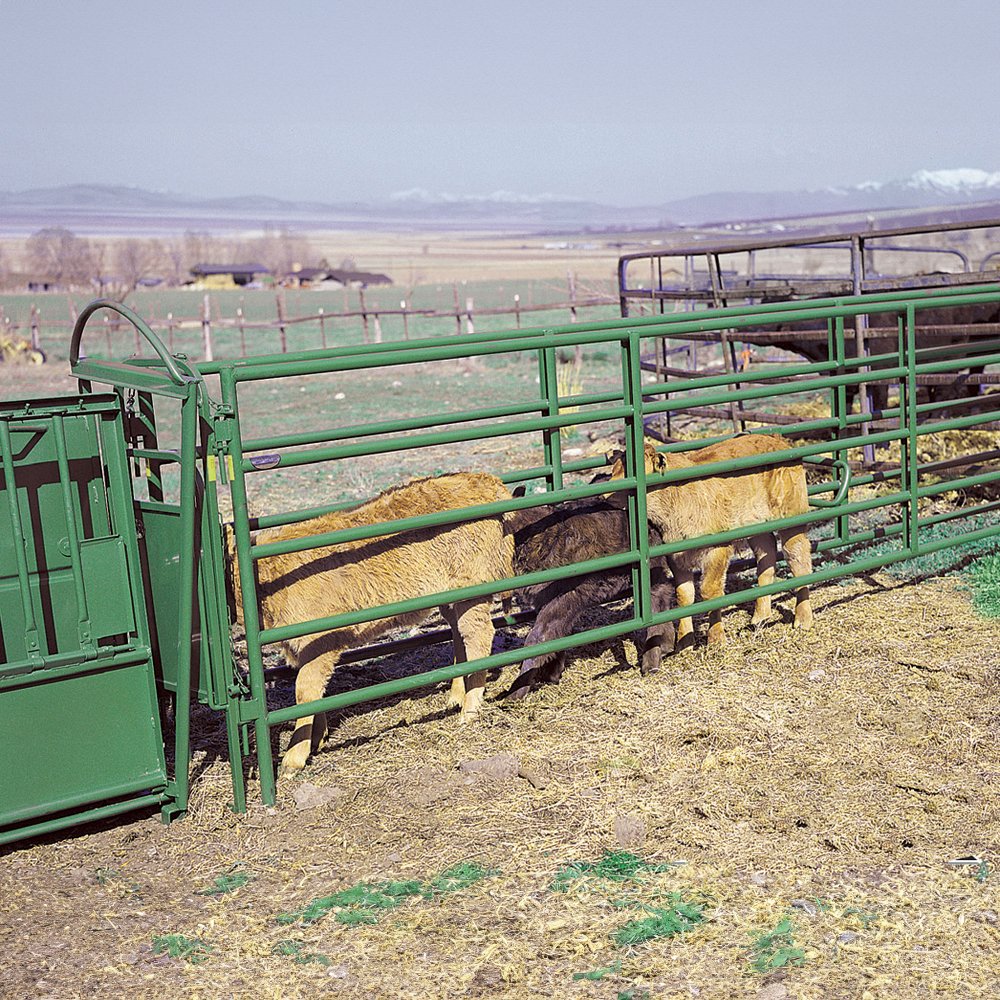 Calf Alley Panels