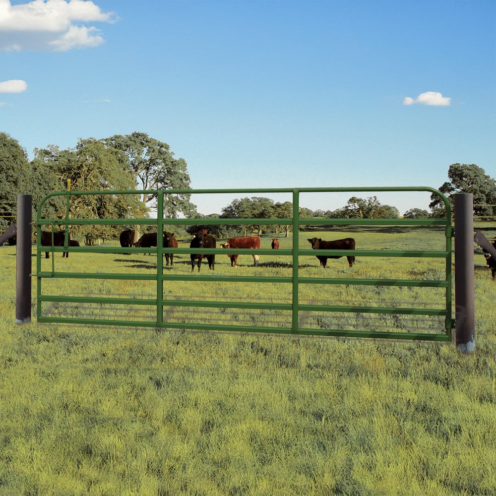 Classic 52-inch Gate with Lever Latch