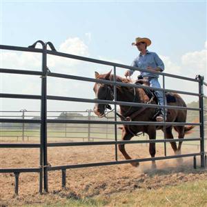 6 Foot Tall Premier Mustang Panel Round Pens