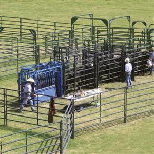 Rough Stock Corral System 200 Head - RSOSCS-3