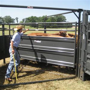 Solid Sweep Corral System 250 Head - SSCS-4