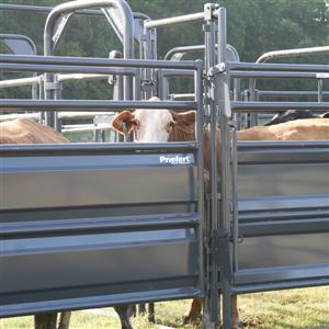 Solid Sweep Corral System 250 Head - SSCS-4
