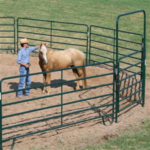 6' X 9' Economy Bow Gate