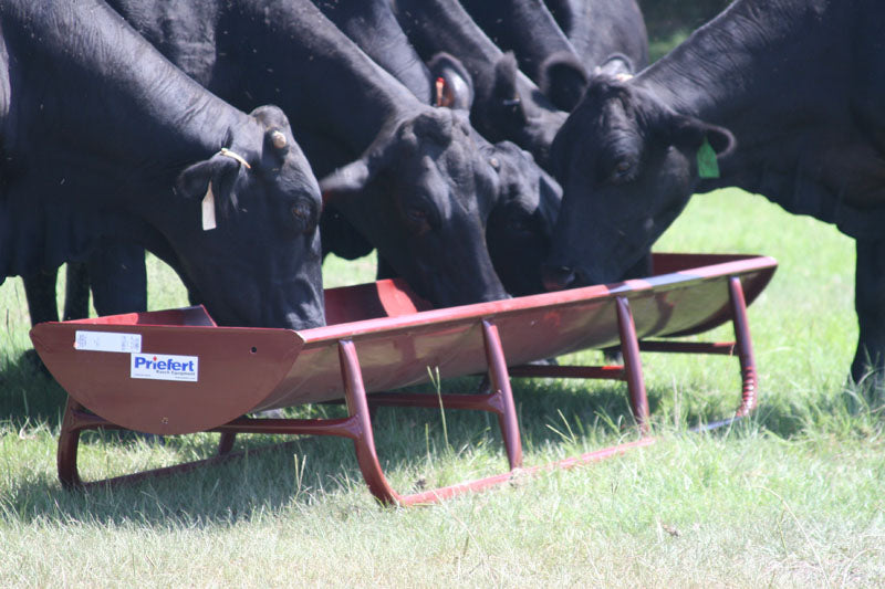 10' Bunk Feeder w/Galvanized Powdercoated Metal Liner - FBFWML