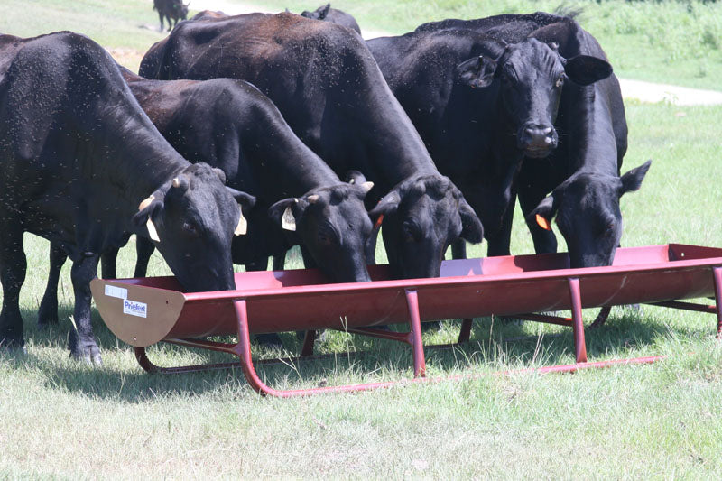10' Bunk Feeder w/Galvanized Powdercoated Metal Liner - FBFWML