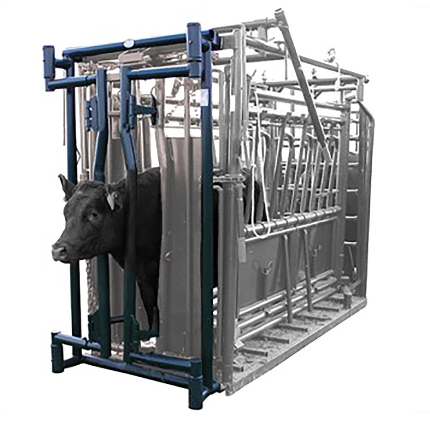 Neck Extender - Hi-Hog