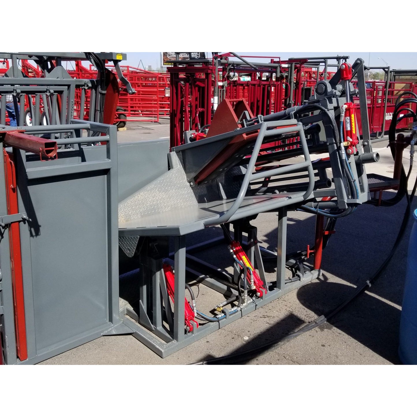 Hydraulic Calf Table - WW