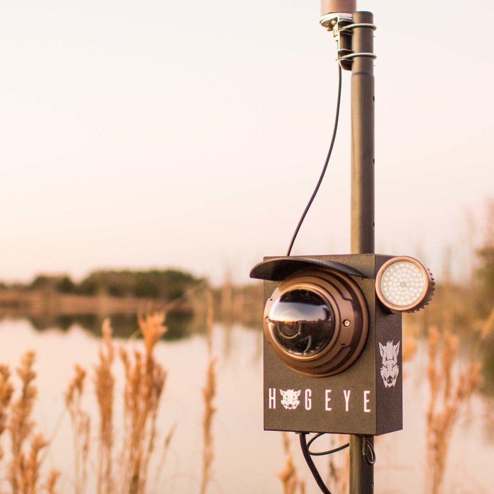 HogEye Trap Camera