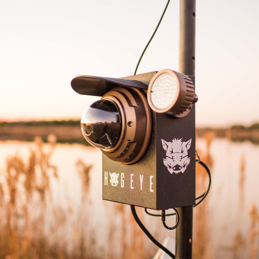 HogEye Trap Camera