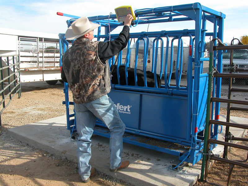 Tru-Test Scale MP800 Load Bars