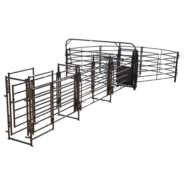 135 Degree Sweep w/ 24' Adj Alley, Gate and Preg Panels