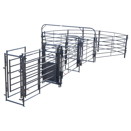135 Degree Sweep w/ 24' Adj Alley and Preg Panels