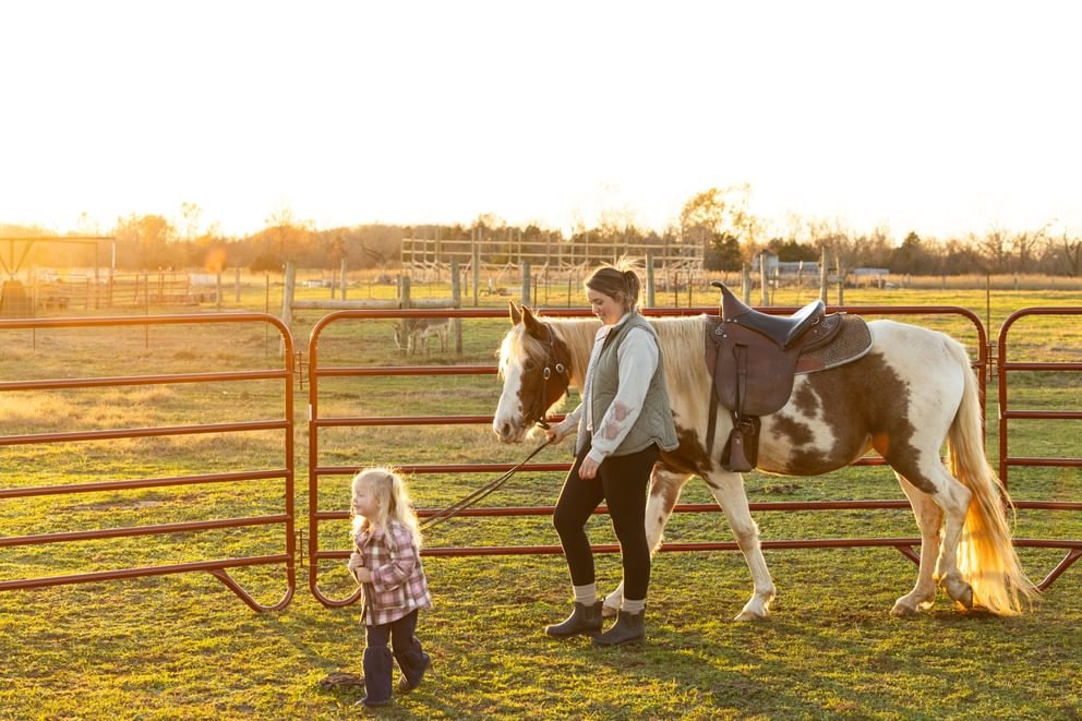Pioneer Round Pens - Behlen Country