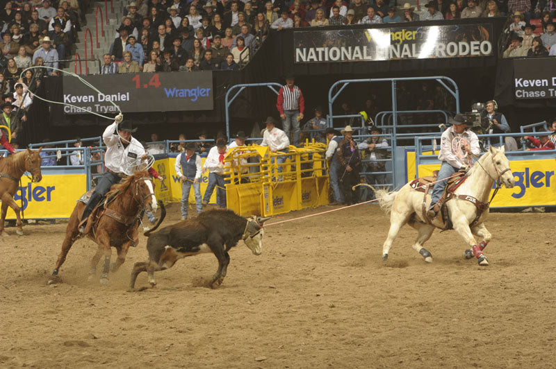 Competition Roping Chute Add-on Section - RCS22C