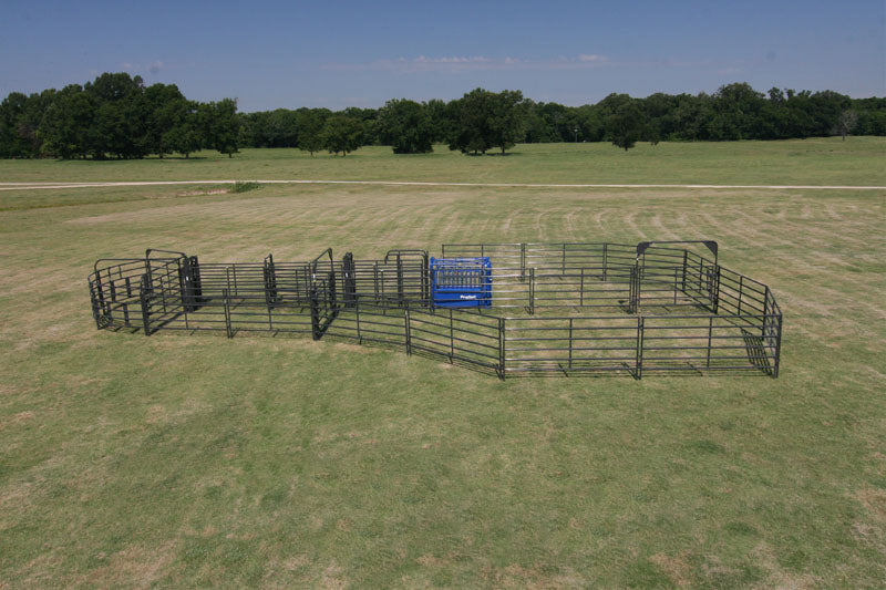 Rough Stock Corral System 35 Head - RSOSCS-1