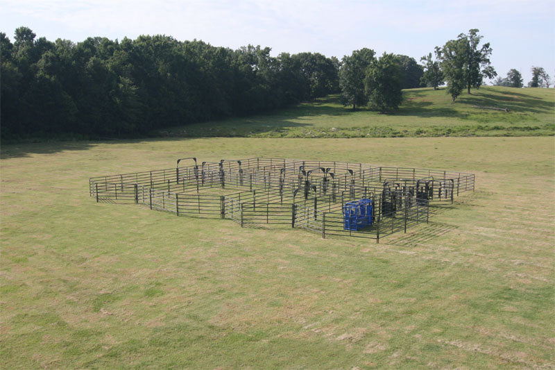 Rough Stock Corral System 200 Head - RSOSCS-3