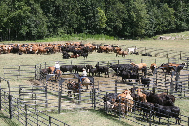 Rough Stock Corral System 250 Head w/Calf Table - RSOSCS-5