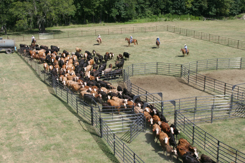 Rough Stock Corral System 250 Head w/Calf Table - RSOSCS-5