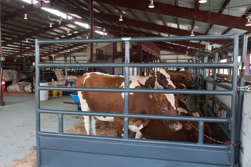 Tie Stall Panels
