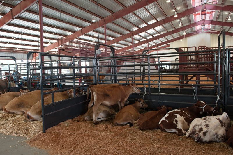 Tie Stall Panels