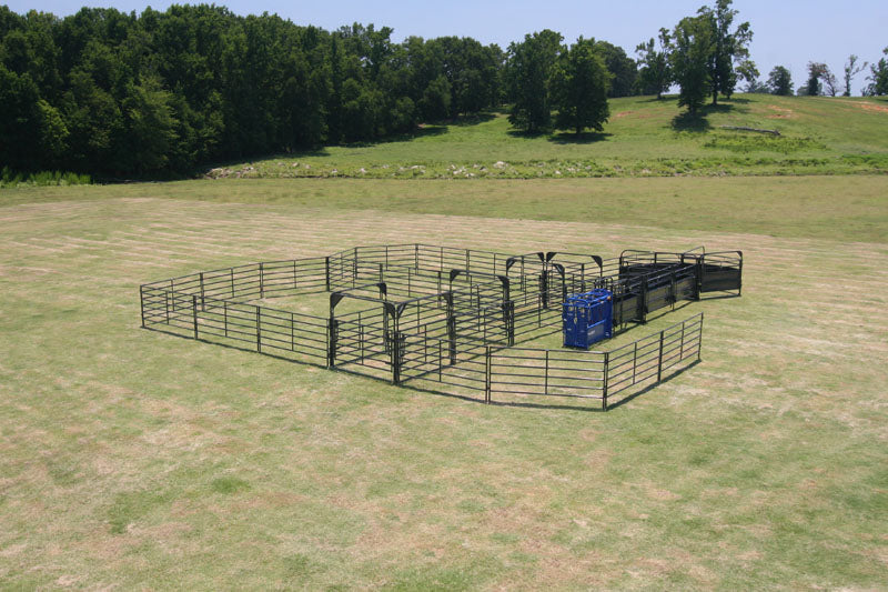 Solid Sweep Corral System 100 Head - SSCS-2