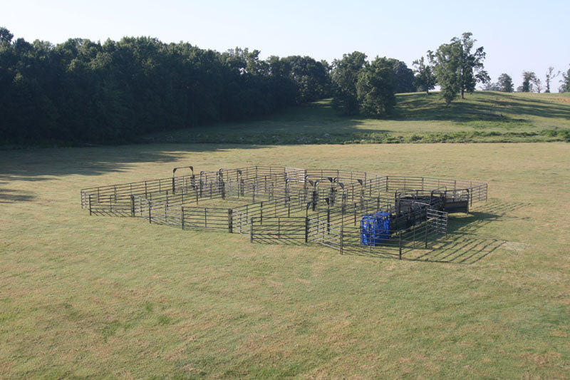 Solid Sweep Corral System 200 Head - SSCS-3