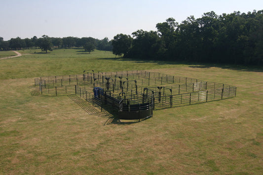 Solid Sweep Corral System 250 Head - SSCS-4