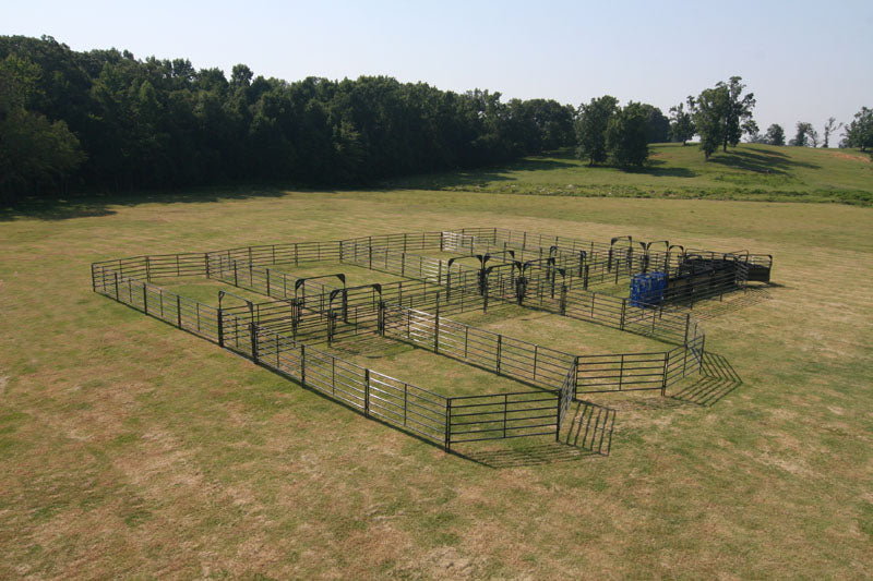 Solid Sweep Corral System 250 Head - SSCS-4