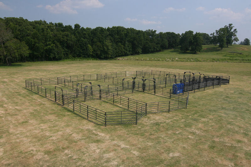Solid Sweep Corral System 250 Head w/Calf Table - SSCS-5