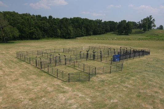 Solid Sweep Corral System 250 Head w/Calf Table - SSCS-5