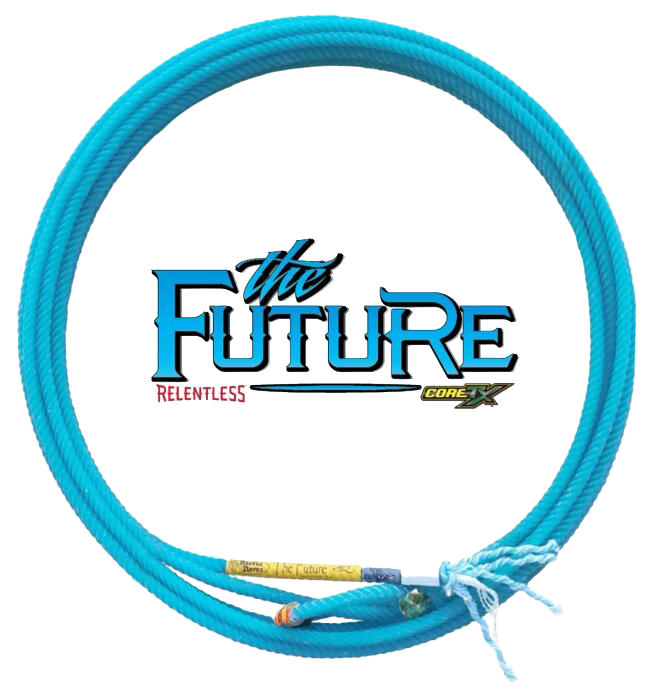 The Future