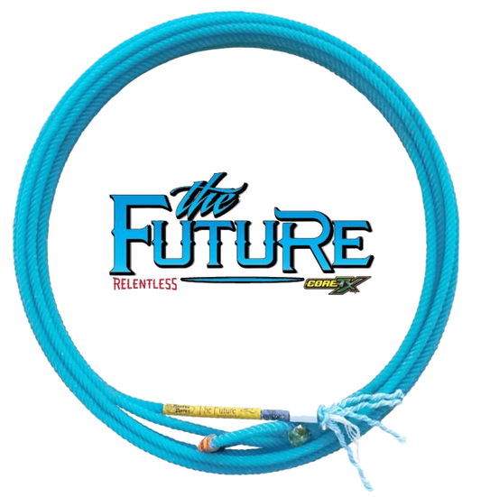 The Future